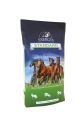 ENERGYS STANDARD
