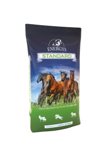 ENERGYS STANDARD