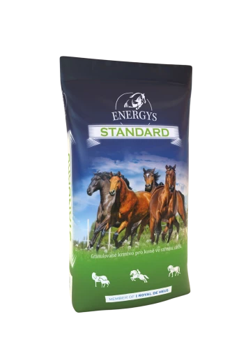 ENERGYS STANDARD