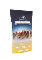 ENERGYS PONY