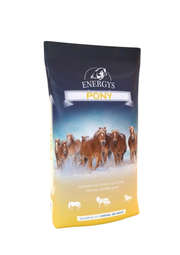 ENERGYS PONY
