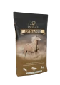 ENERGYS DYNAMIX