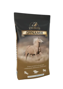 ENERGYS DYNAMIX