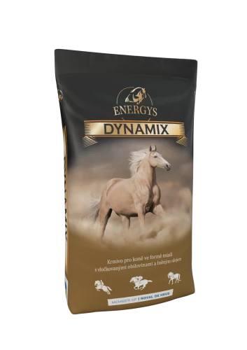 ENERGYS DYNAMIX