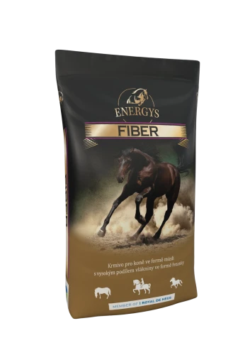 ENERGYS FIBER