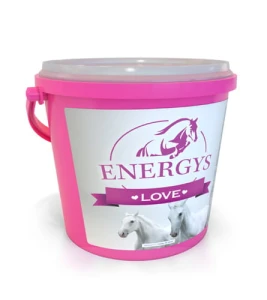 ENERGYS LOVE